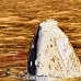 whale_humpback_h_00143_dom2186.jpg